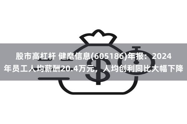 股市高杠杆 健麾信息(605186)年报：2024年员工人均薪酬20.4万元，人均创利同比大幅下降