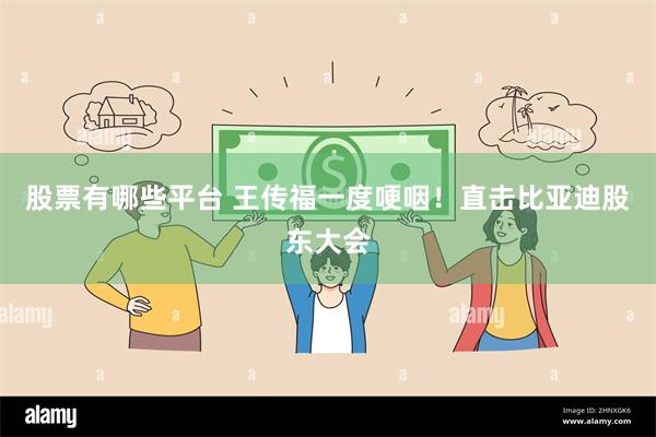 股票有哪些平台 王传福一度哽咽！直击比亚迪股东大会